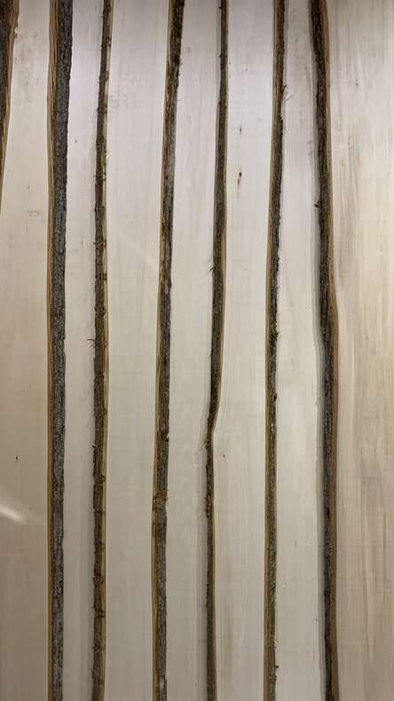 Слэб из Липы, класс А, сорт 1, ширина (150-300) до 3-х метров